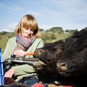 Meet your Posher, Cathy